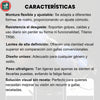 GAFAS MULTIFOCALES INTELIGENTES TR90 CON ZOOM AUTOMATICO, PROTECCION DE LUZ AZUL Y AMARILLA .