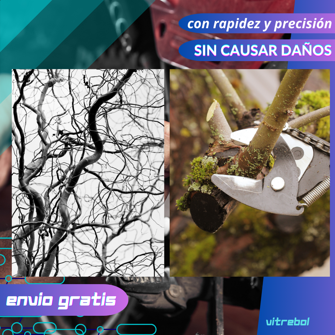 Set 2 en 1 - Mini Sierra y Tijera Podadora - Incluye 3 Baterías Litio
