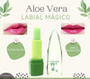 BALSAMO LABIAL ALOE VERA ( PAGO CONTAENTREGRA)